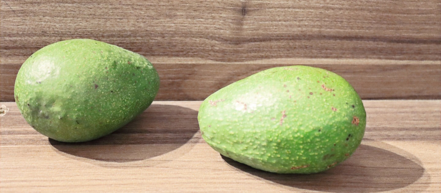 1 UNIDAD PALTA